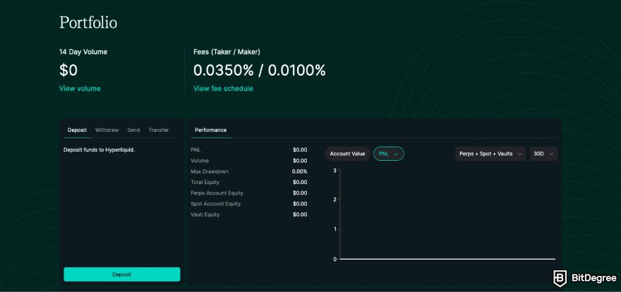 Hyperliquid review: a screenshot of Hyperliquid's portfolio.