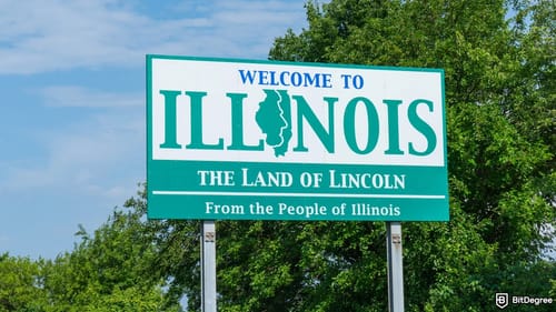 Illinois Says No to AI in Therapy, Warns of Self-Harm Risks