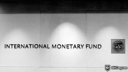 International Monetary Fund Claims Crypto Ban is Not a Long Term Solution