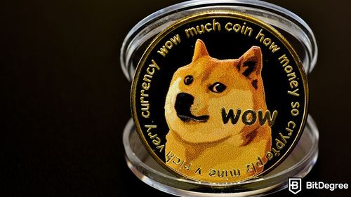 Investors Amend Lawsuit Against Elon Musk, Citing Dogecoin Insider Trading
