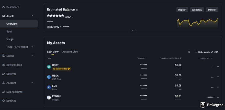 Is Binance safe: a screenshot of assets overview.