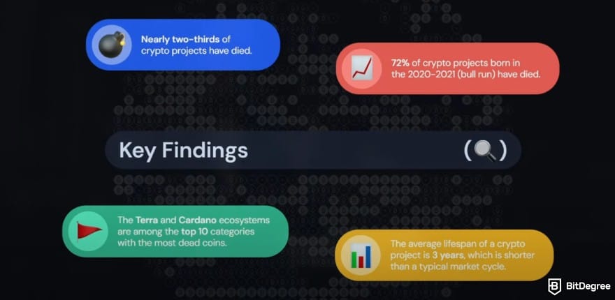 Is Cardano dead: AlphaQuest's key findings, including Cardano being in the top 10 with the most dead coins.