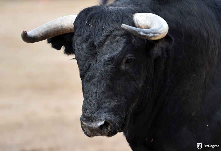 Is Cardano dead: a black bull with sharp horns, representing bullish sentiment.