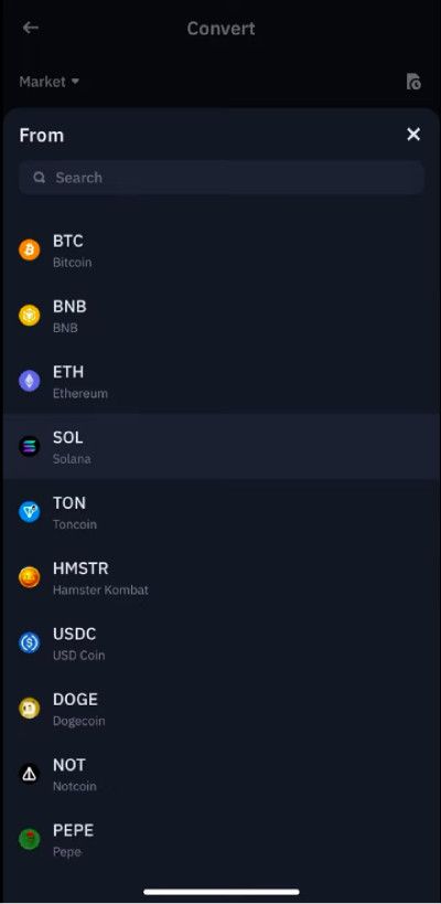 Is Dogecoin a good investment? A screenshot of coin conversion screen on the Binance mobile app.