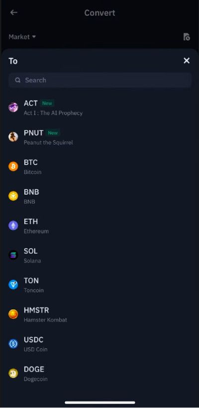 Is Dogecoin a good investment? Selecting the coin on the Binance mobile app.