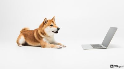 Is Dogecoin a Good Investment? Predictions for 2025 and Beyond