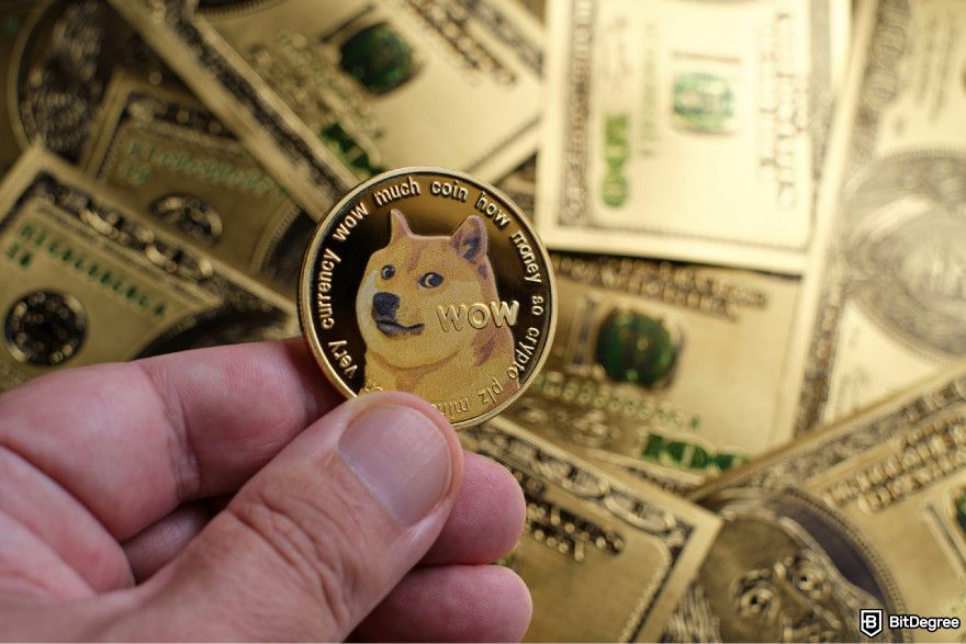 Is Dogecoin a good investment? A person holding DOGE.