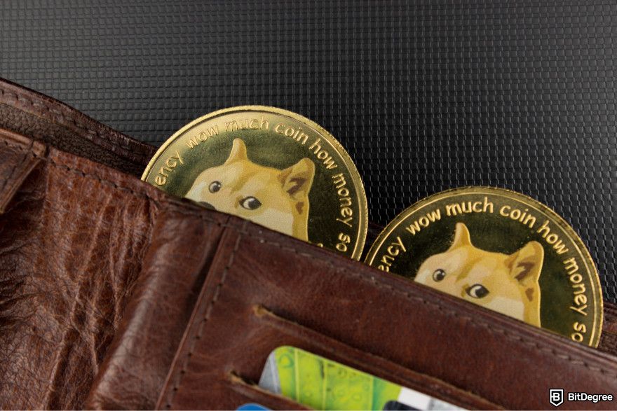 Is Dogecoin a good investment? Two Dogecoins in a leather wallet.