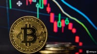 Is this where Bitcoin tops out?
