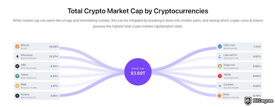 Is XRP dead: crypto market cap ranking on BitDegree.