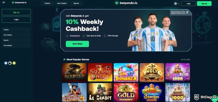 iWild casino review: Betpanda homepage.