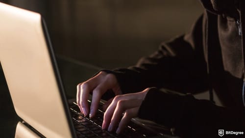 K9 Finance Hunts Hacker With 5 ETH Reward After Shibarium Exploit