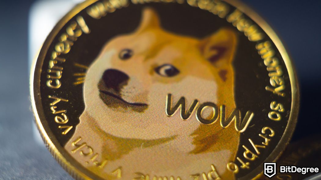 Kabosu, the Beloved Dog Behind Dogecoin, Has Passed Away