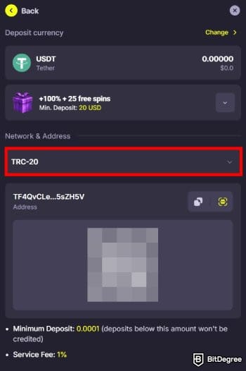 Kings.Game casino review: USDT deposit page on Kings.Game.