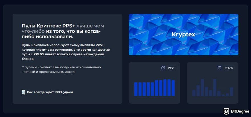 Kryptex отзывы: пул майнинга PPS+.