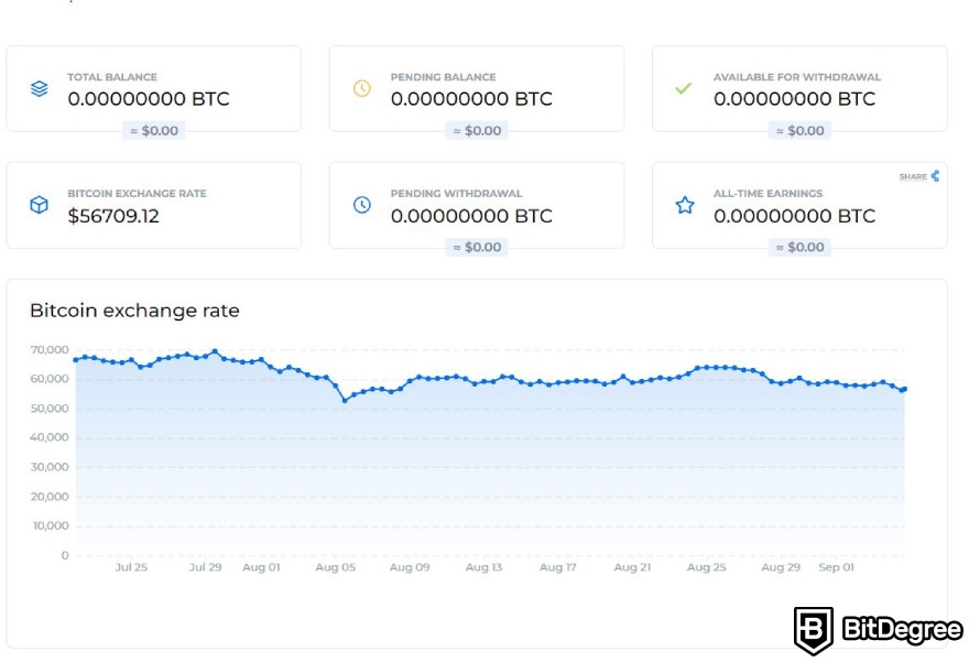 Kryptex review: balance information.