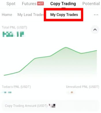 KuCoin copy trading: My Copy Trades.