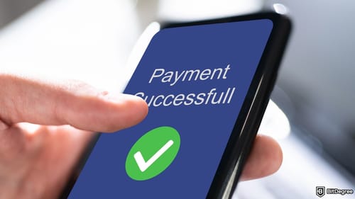 Latest BitDegree Mission Explores Ogvio's Business Features