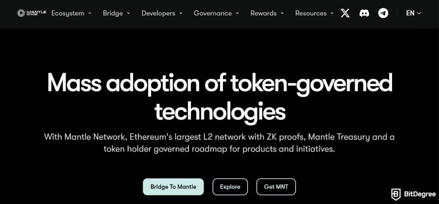 Layer 1 crypto list: Mantle Network's website.