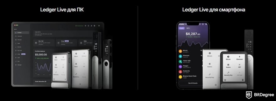 Ledger Flex отзывы: приложение Ledger Live.