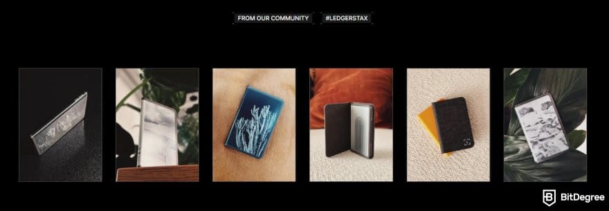 Ledger Stax review: some pictures of Ledger Staxs with various customizations.