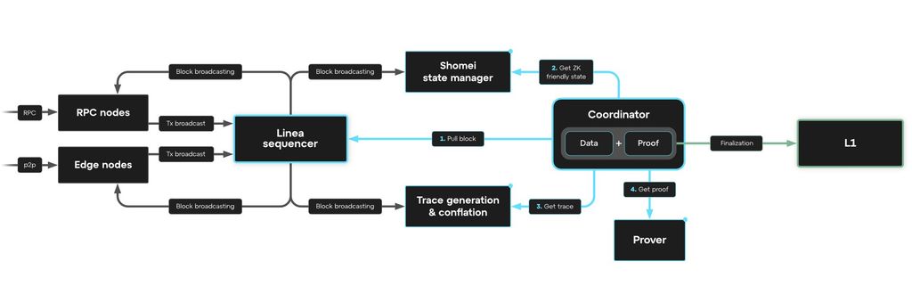 Linea airdrop guide: key roles and processes on Linea.