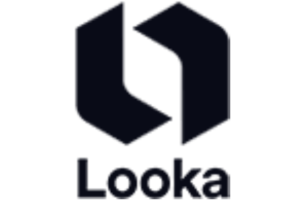 Looka Review