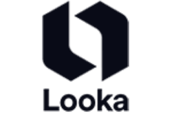 Looka Review