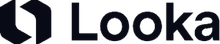 Looka Review