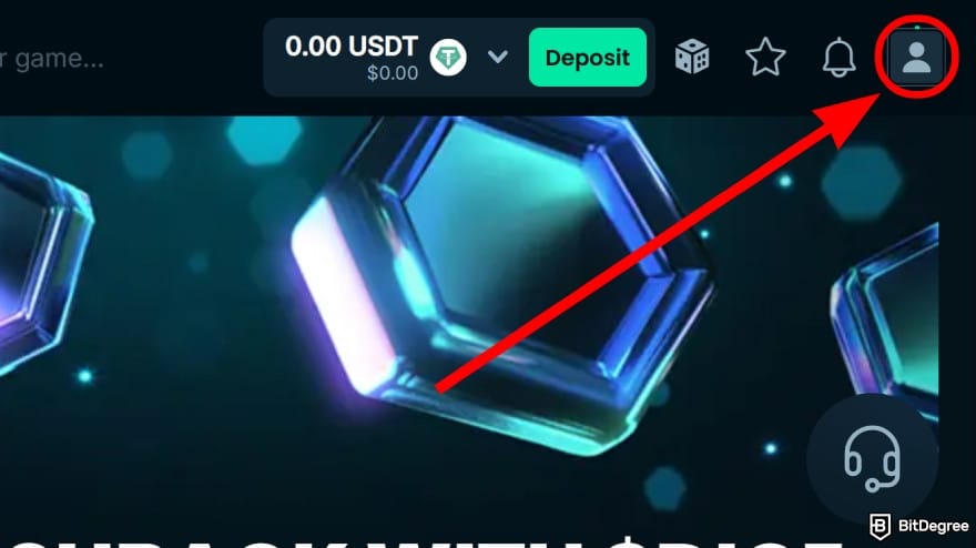 Mega Dice Casino review: click on the profile icon.