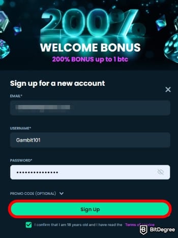 Mega Dice Casino review: enter your email, username, and password.