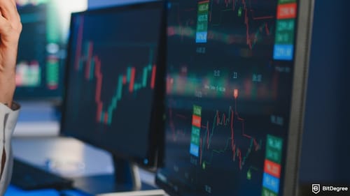 MegaETH's Fundraiser Glitch: Accidental $500M Surge Shakes Crypto Community