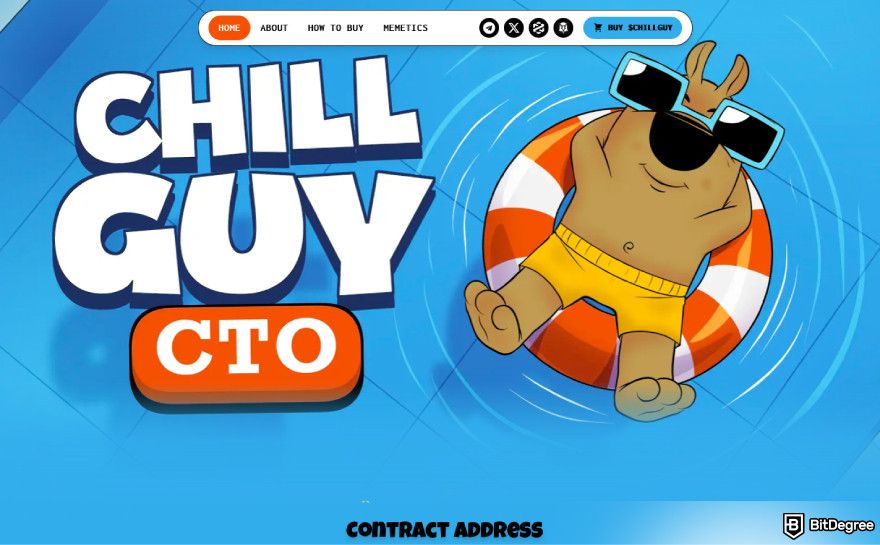 Meme coins that will explode: a screenshot of the $CHILLGUY's landing page.