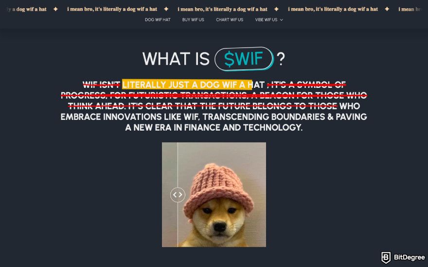 Meme coins that will explode: a screenshot of the Dogwifhat's landing page.