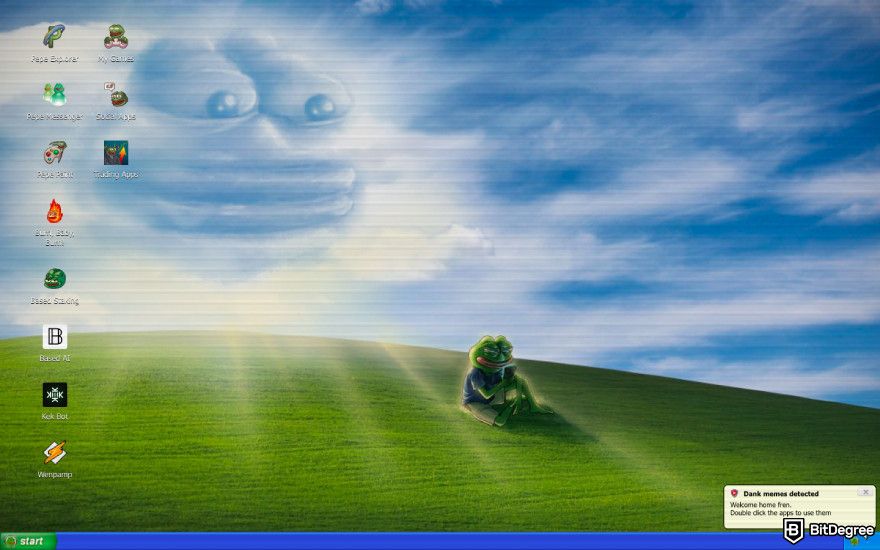 Meme coins that will explode: a screenshot of the Pepe coin's landing page.