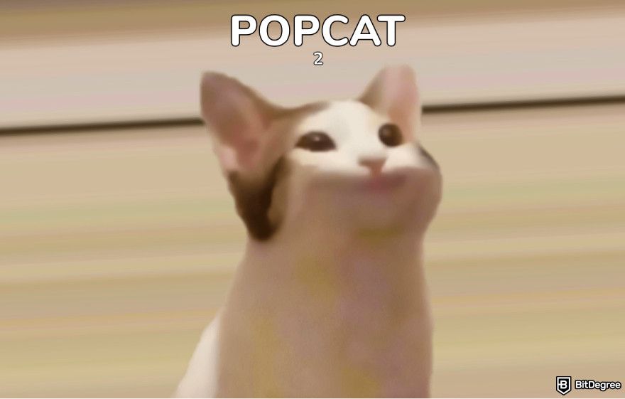 Meme coins that will explode: a screenshot of the Popcat meme website.