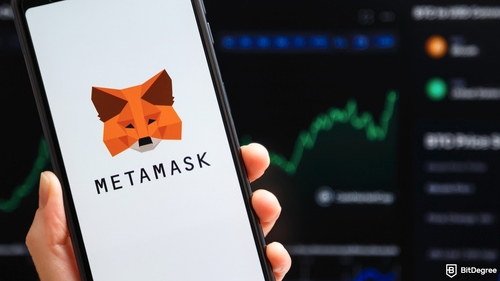 MetaMask Moves Beyond EVM, Targets Gas-Free Crypto Trading