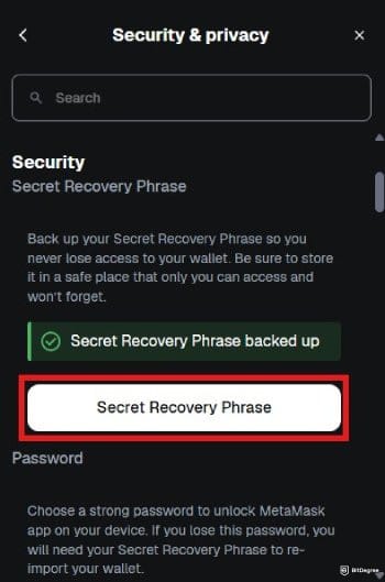 MetaMask review: the Security & Privacy page on MetaMask's Chrome extension.