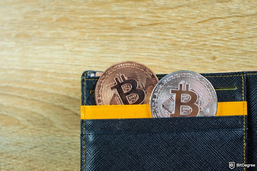 MetaMask review: 2 BTC coins in a wallet.