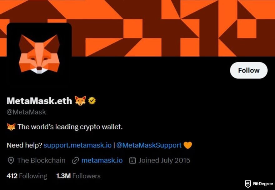 MetaMask review: MetaMask X profile.