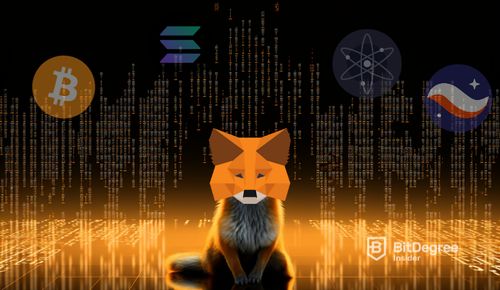 MetaMask to Start a Wallet Revolution