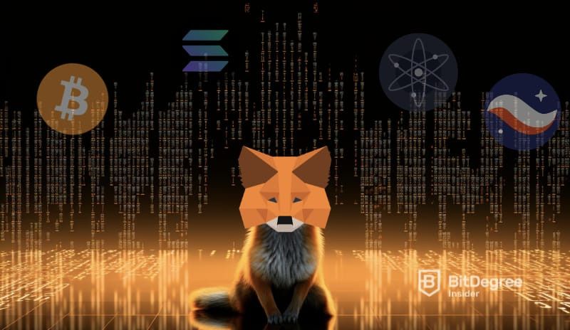 Metamask & Wallet Revolution?