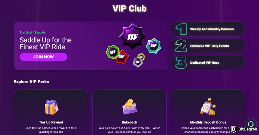 Metaspins review: Metaspins VIP club page. Metaspins review: Metaspins VIP club page.