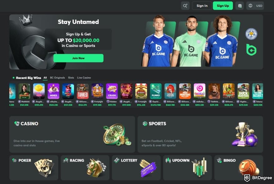 MetaWin Casino review: BC.GAME's homepage.