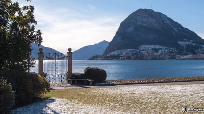 Missing Satoshi Nakamoto Statue Found Shattered in Lake Lugano