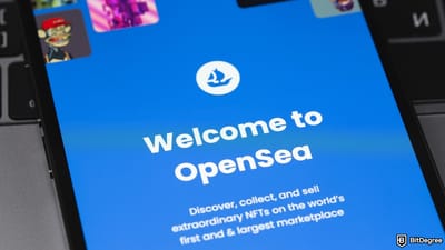 Moonbirds NFT Project Plans Solana-Based BIRB Token