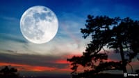 MoonX Rolled Out as BYDFi’s Solution to Simplify DEX Access for CEX Users