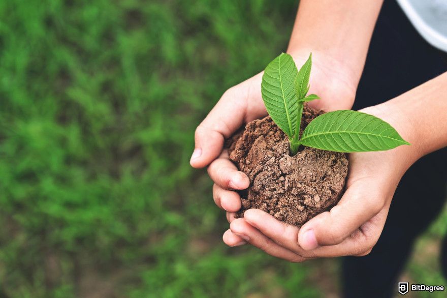 Most energy efficient cryptocurrency: a plant.