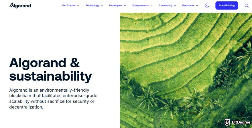 Most energy efficient cryptocurrencies: Algorand website.