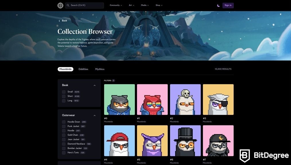 Most popular NFTs: the Collection Browser page of Moonbirds NFTs.